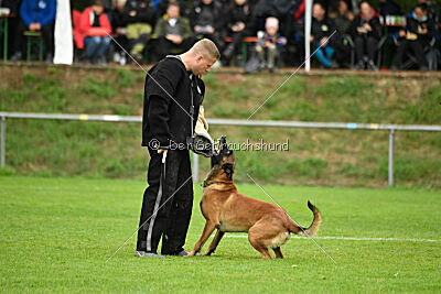 Primus vom Drachenherz