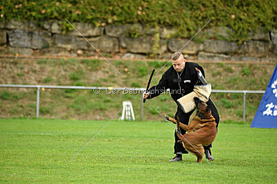 Primus vom Drachenherz