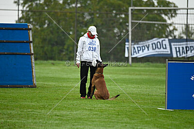 Primus vom Drachenherz