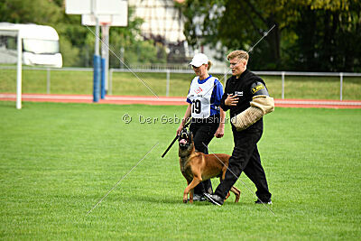 Primus vom Drachenherz