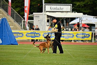 Primus vom Drachenherz