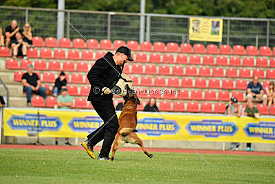 Primus vom Drachenherz