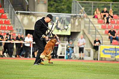 Primus vom Drachenherz