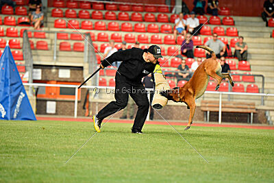 Primus vom Drachenherz