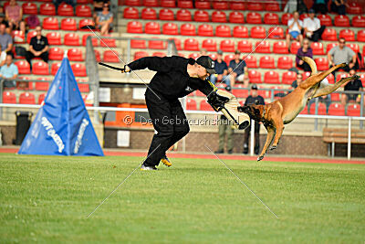 Primus vom Drachenherz