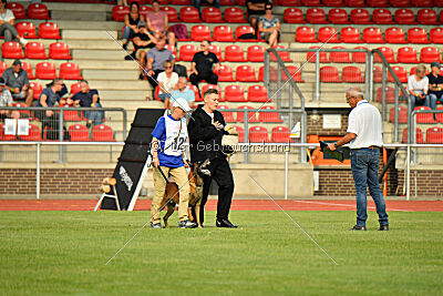 Primus vom Drachenherz