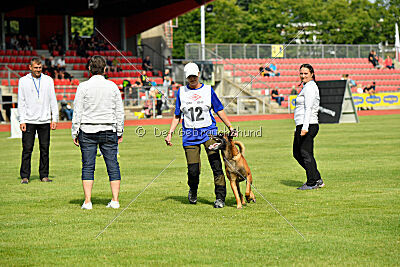 Primus vom Drachenherz