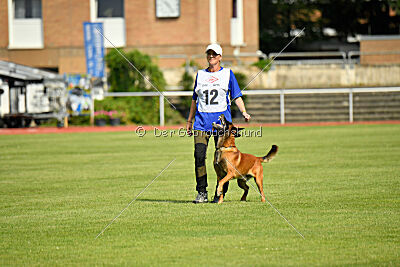 Primus vom Drachenherz