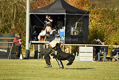 Prinz vom kleinen Büffel