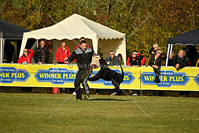 Prinz vom kleinen Büffel