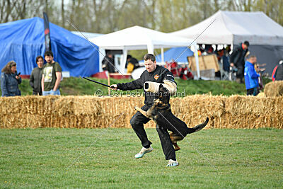 Punky de la Legion du Nord