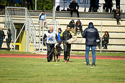 Punky de la Legion du Nord