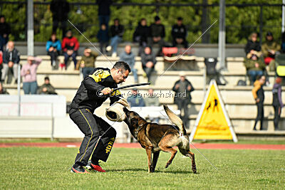 Punky de la Legion du Nord