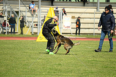 Punky de la Legion du Nord