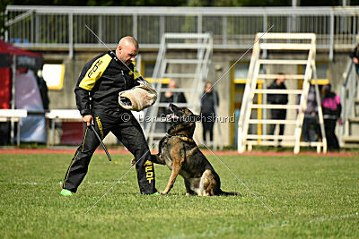 Punky de la Legion du Nord