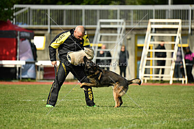 Punky de la Legion du Nord