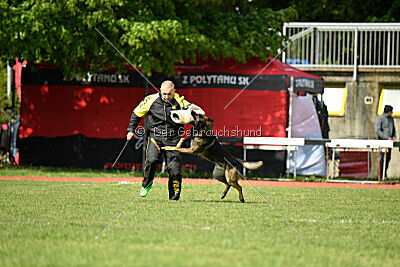 Punky de la Legion du Nord