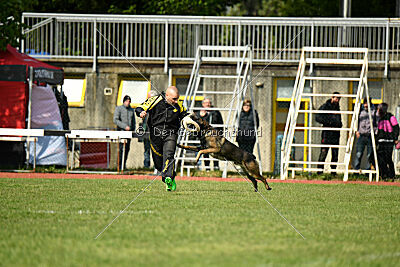 Punky de la Legion du Nord