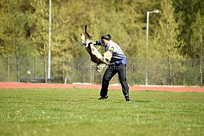 Pysäkin Ozzy
