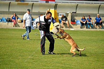 Python la Maschera di Ferro