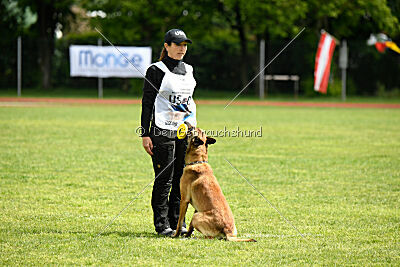 Python la Maschera di Ferro