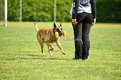 Python la Maschera di Ferro