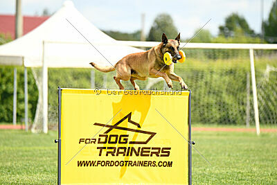 Python la Maschera di Ferro