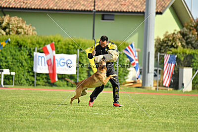 Python la Maschera di Ferro