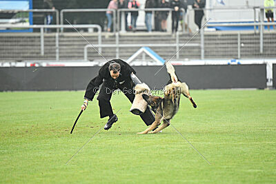 Qatar vom Alten Kanal