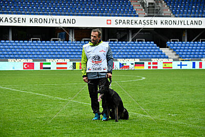 Qer z Lomeckého polesí