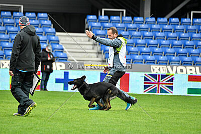 Qer z Lomeckého polesí