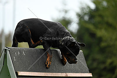 Quai von der Königskanzel