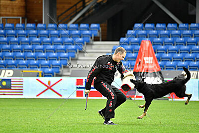 Quattro von der Daelenberghütte