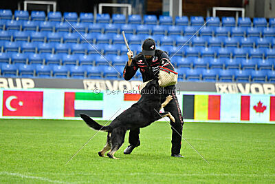 Quattro von der Daelenberghütte