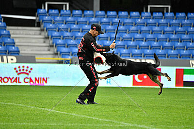 Quattro von der Daelenberghütte