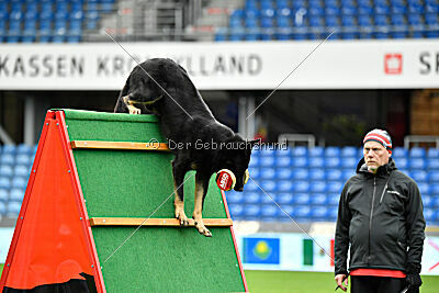 Quattro von der Daelenberghütte