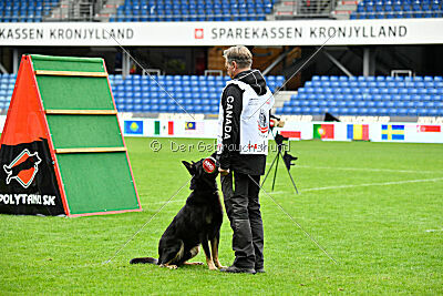 Quattro von der Daelenberghütte