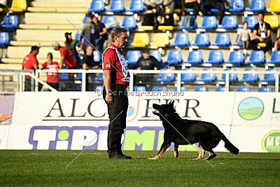 Quattro von der Daelenberghütte