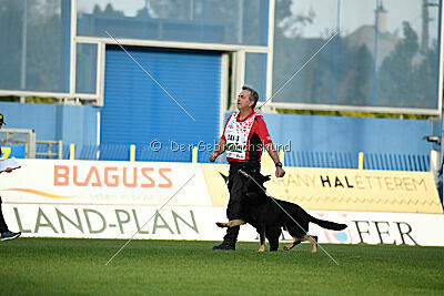 Quattro von der Daelenberghütte