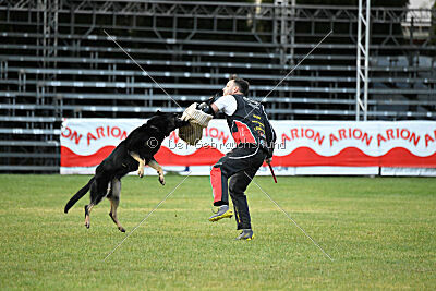 Quattro von der Daelenberghütte