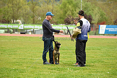 Quenn van de Berlex-Hoeve