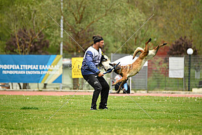 Quenn van de Berlex-Hoeve