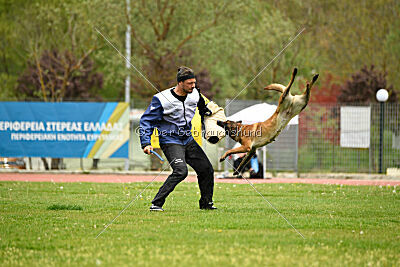 Quenn van de Berlex-Hoeve