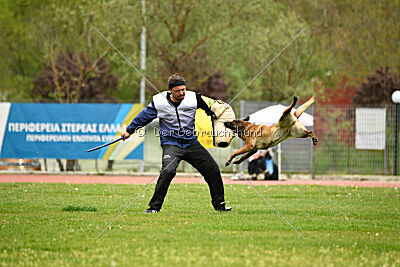 Quenn van de Berlex-Hoeve