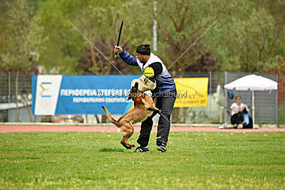 Quenn van de Berlex-Hoeve