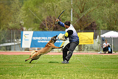 Quenn van de Berlex-Hoeve