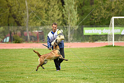 Quenn van de Berlex-Hoeve
