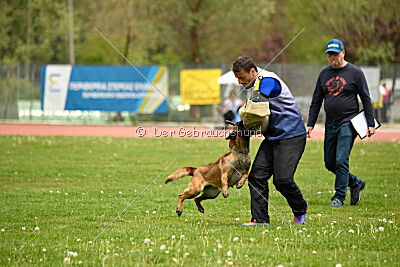 Quenn van de Berlex-Hoeve