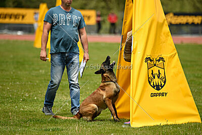 Quenn van de Berlex-Hoeve