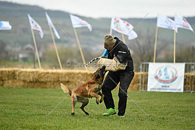 Quenn van de Berlex-Hoeve
